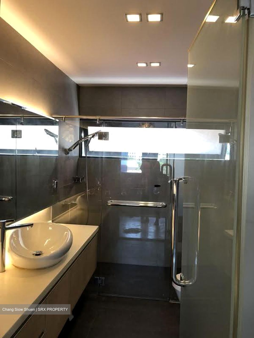 Coronation Shopping Plaza (D10), Apartment #622113731
